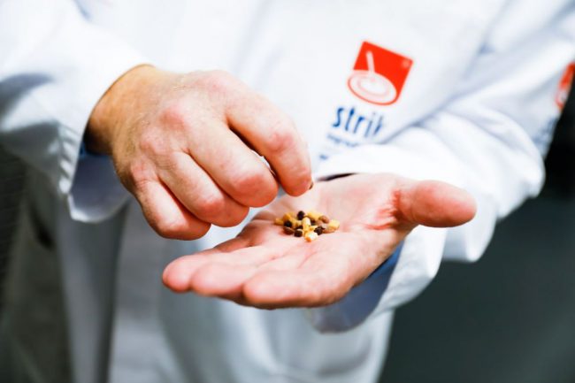 Tailormade Inclusions & Decorations Food